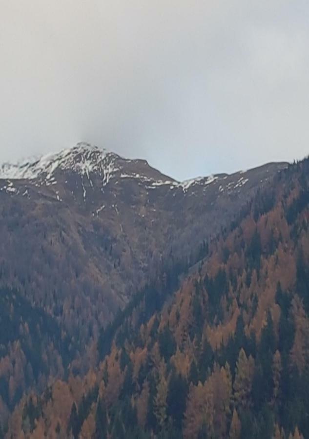 Апартаменты Temblhof Випитено Экстерьер фото